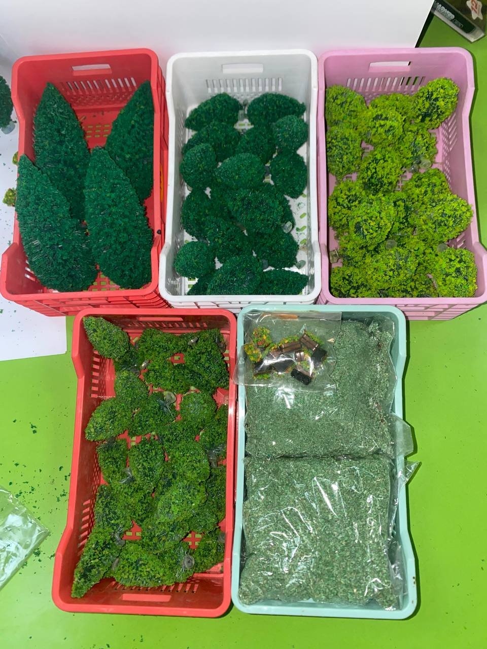 ميني غابة للمشاريع